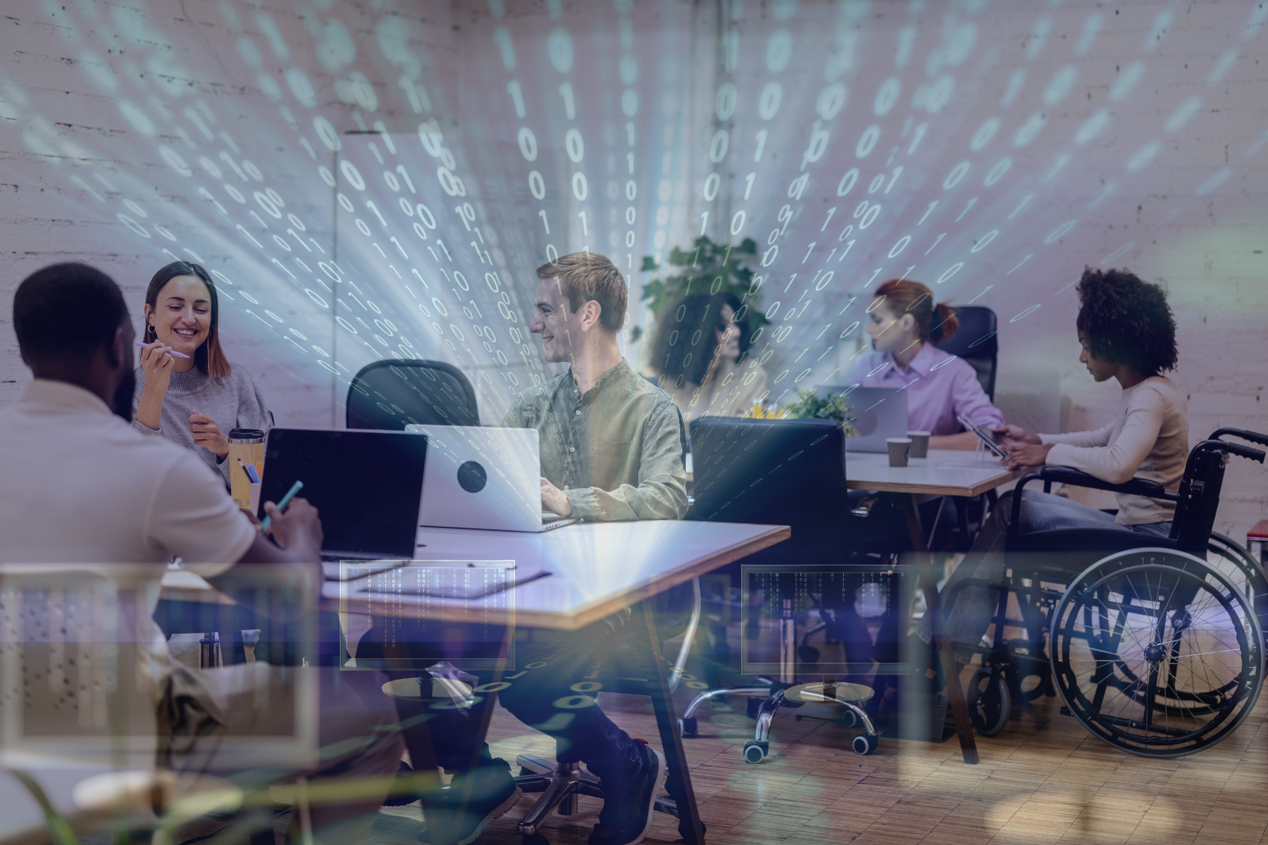 Sumo Networks Culture